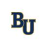 Bethel Seminary logo